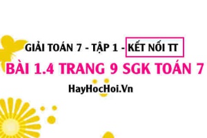 Bài 1.4 SGK Toán 7 tập 1 Kết nối tri thức
